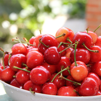 笔记本电脑芭乐视频色版APP为什么还是720P像素？